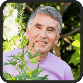 solar Switch Review 1